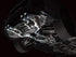 AWE Switchpath Exhaust BMW G87 M2