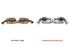 Fabspeed Sport Cat X-Pipe Porsche 996 Carrera (1999-2004)
