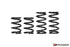 Paragon Lowering Springs C8 Corvette Z06 (2023+)