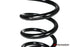 Paragon Lowering Springs C8 Corvette Z06 (2023+)